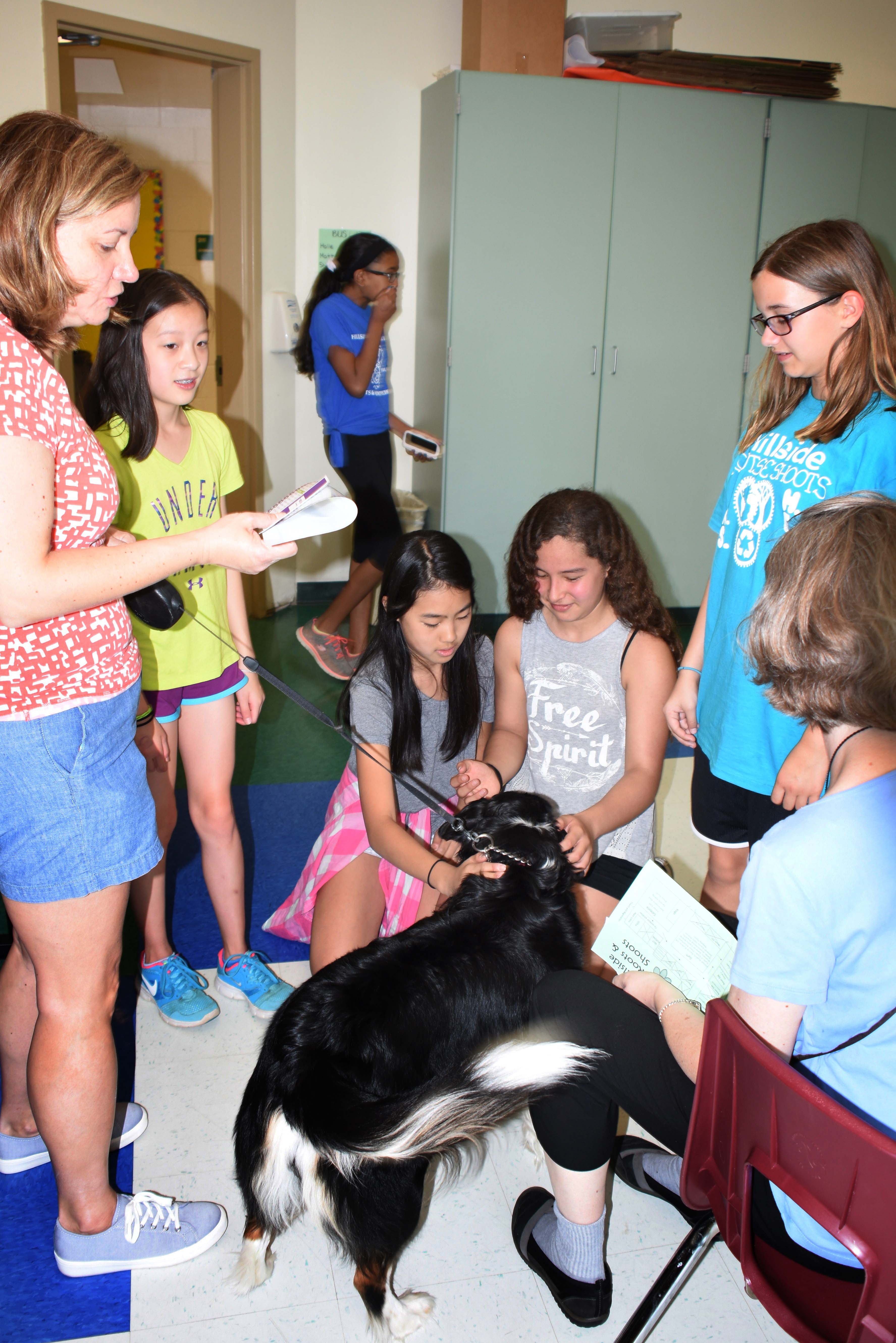 Hillside School in Bridgewater Hosts Annual Forest Fest TAPinto