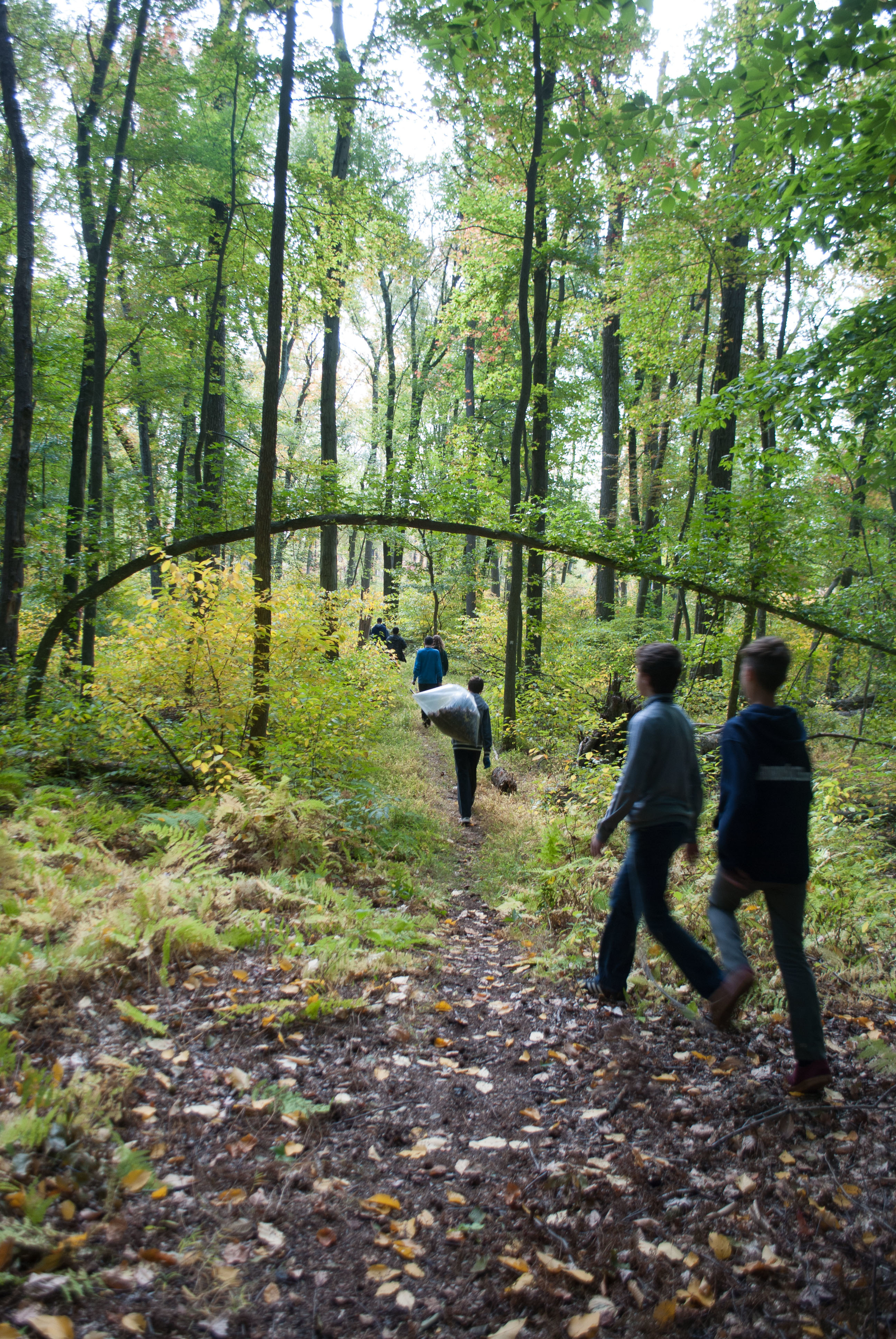 ce6da53365266f60fd0e_Adopt_a_Park_Vo-Tech_trail.jpg