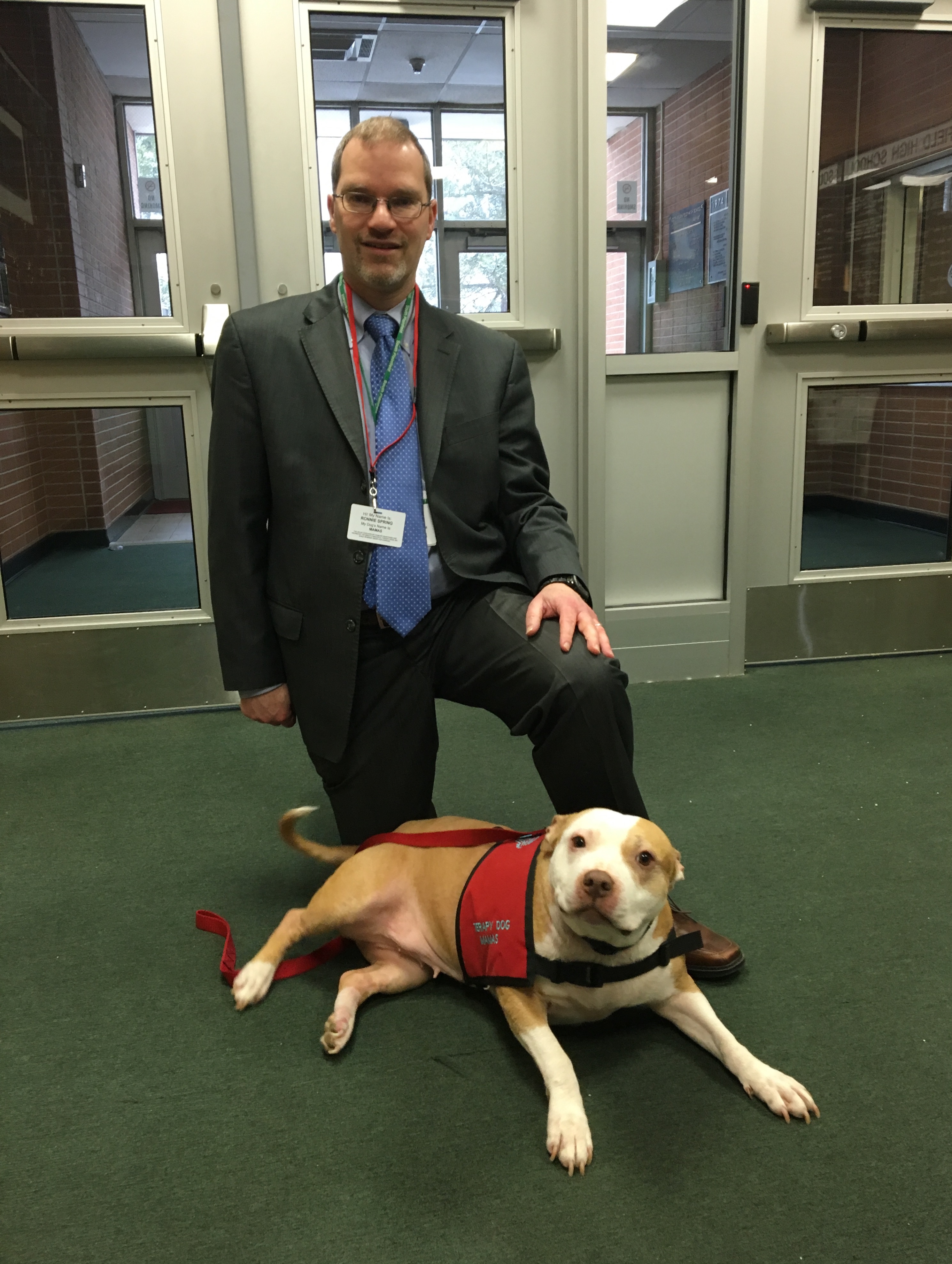 f61080ed794bdf09a3c2_therapy_dog.jpg