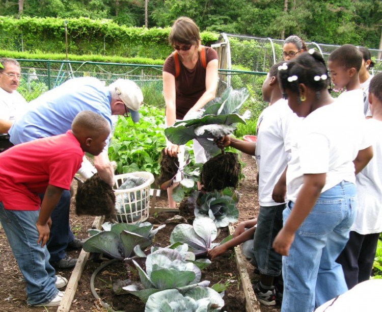 a24fe4d28768dc5bd961_community_gardening_photo.jpg