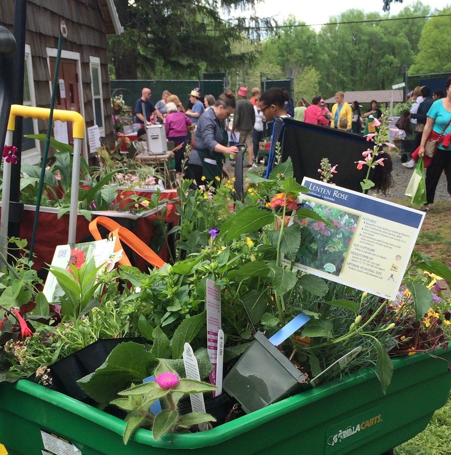 ad931ddc983b4f855fef_spring_garden_fair_wagon_3.jpg