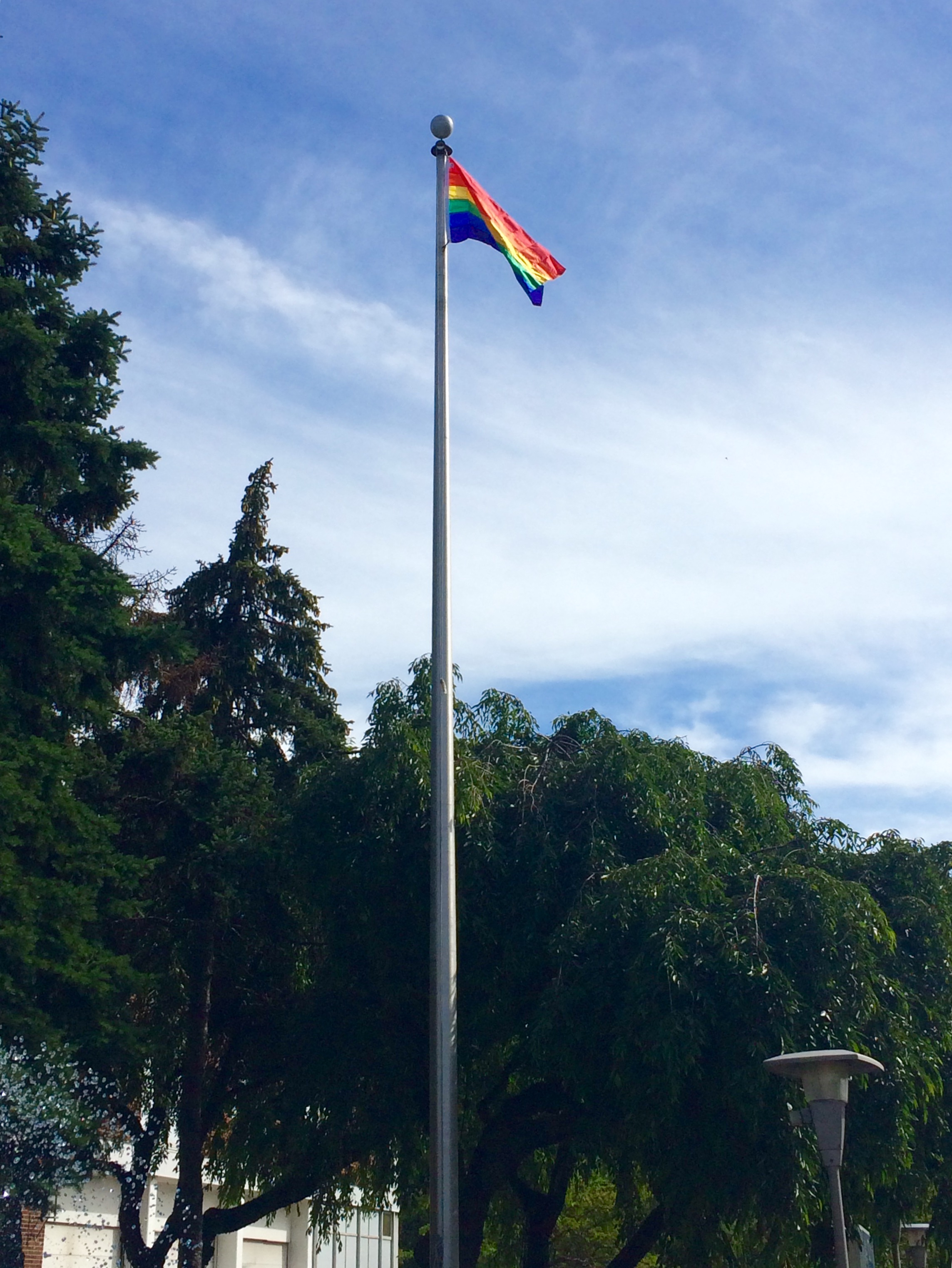 9366811b53f27daa991a_Rainbow_Flag_Bayonne_City_Hall.jpg