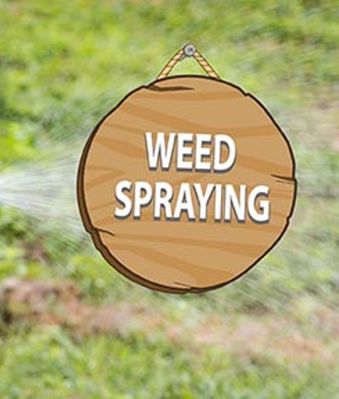 ea1f6f248f292f6f5471_e5abbfe0112fb6496286_weed_spraying.jpg