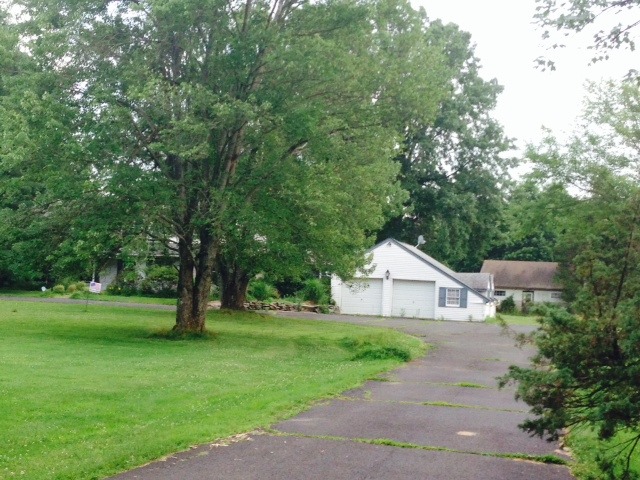 5739bd208ff6f93bba43_ISBRTreesbyHouse.jpg