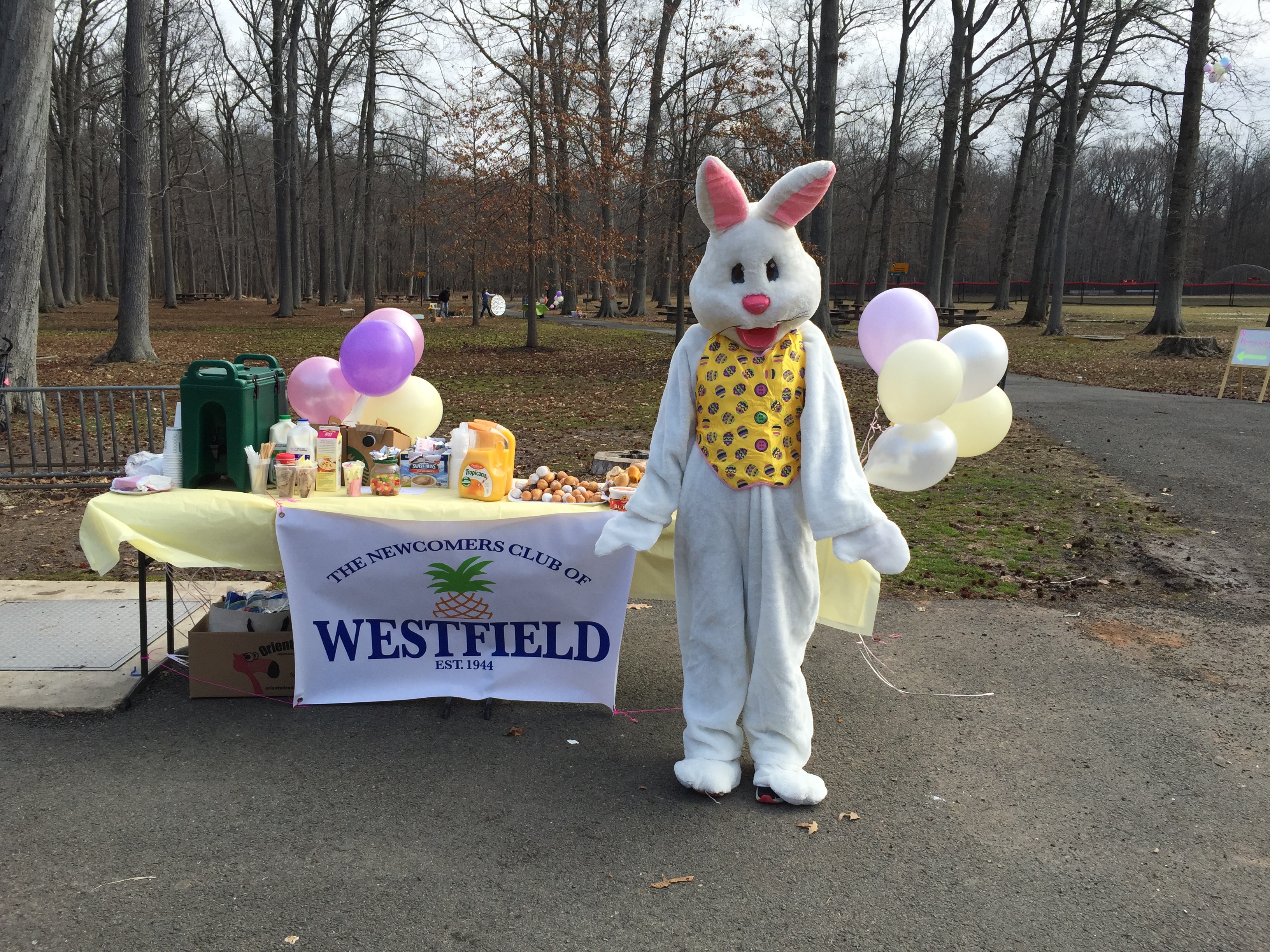 fc3122b56c053c6fb48b_easter_bunny.jpg