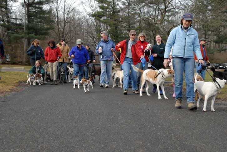 a48df9858b61b811536c_DOGWALKNyears.SCjpg.jpg