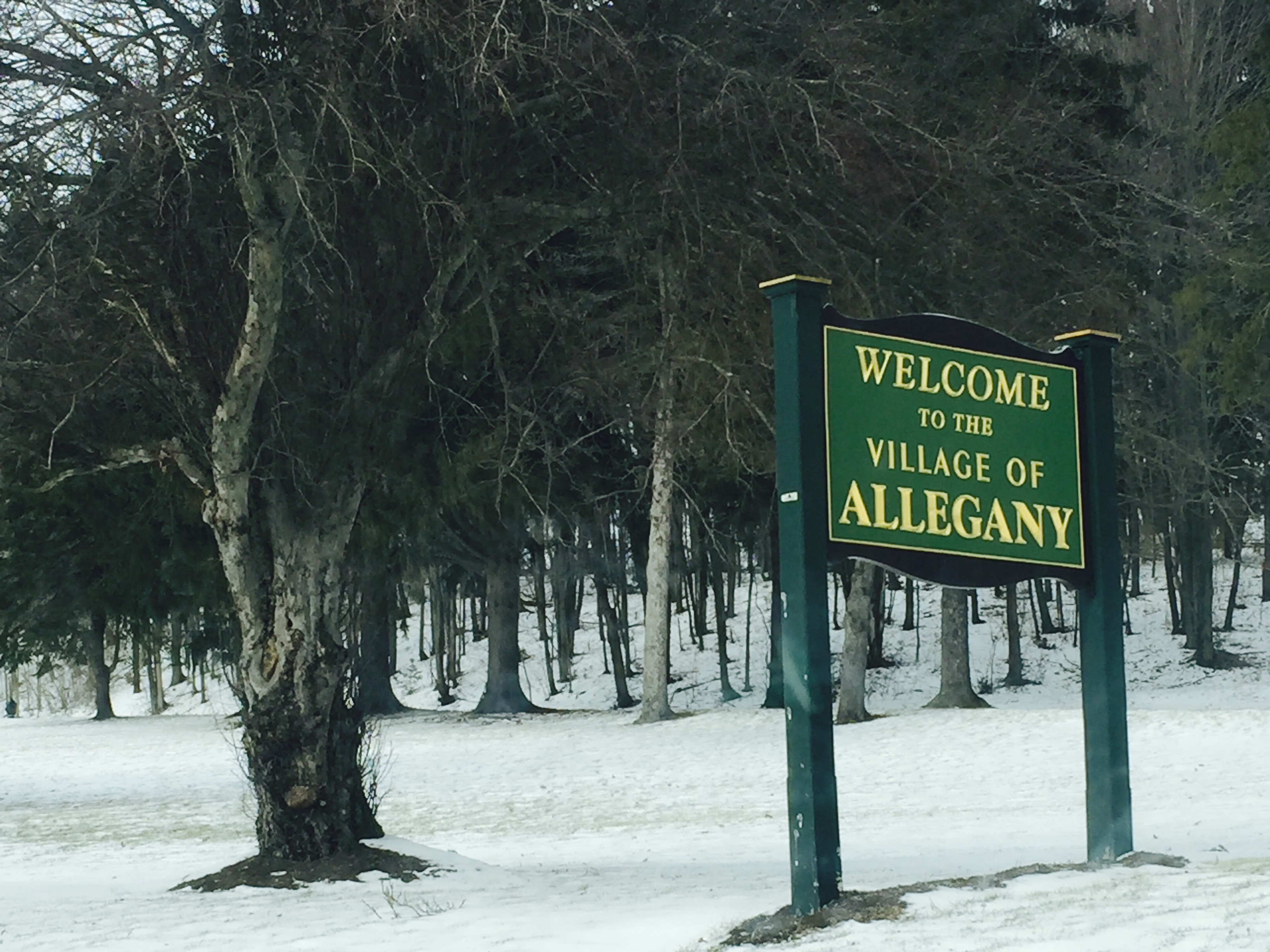 333a21cebdfa5bf36c50_9b1b79e4c6e0ff4d2db4_allegany_3.jpg