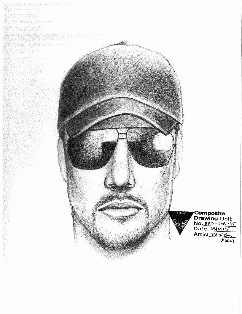 fea6dd42c1a517e71be1_sketch-_Venicia_Jewelry_Stroe_Robbery_Page_1.jpeg