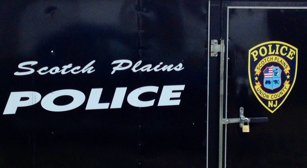 1dc2b80ae0607226e387_SPPD_logo.jpg
