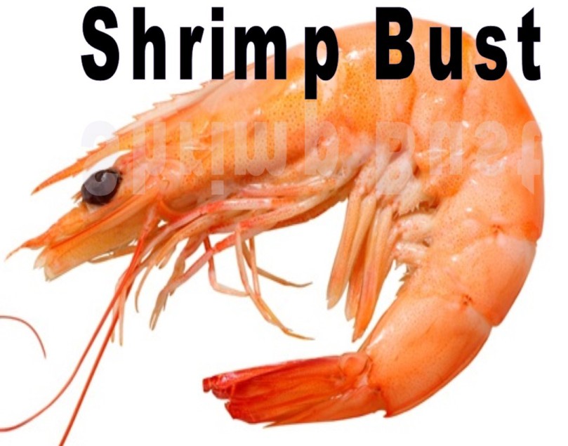d9a79036bc5e1b48c7ac_aee829a6e5a049573ce5_shrimp.jpg