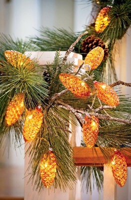 58c94096f7999900ab84_sparkle.jpg