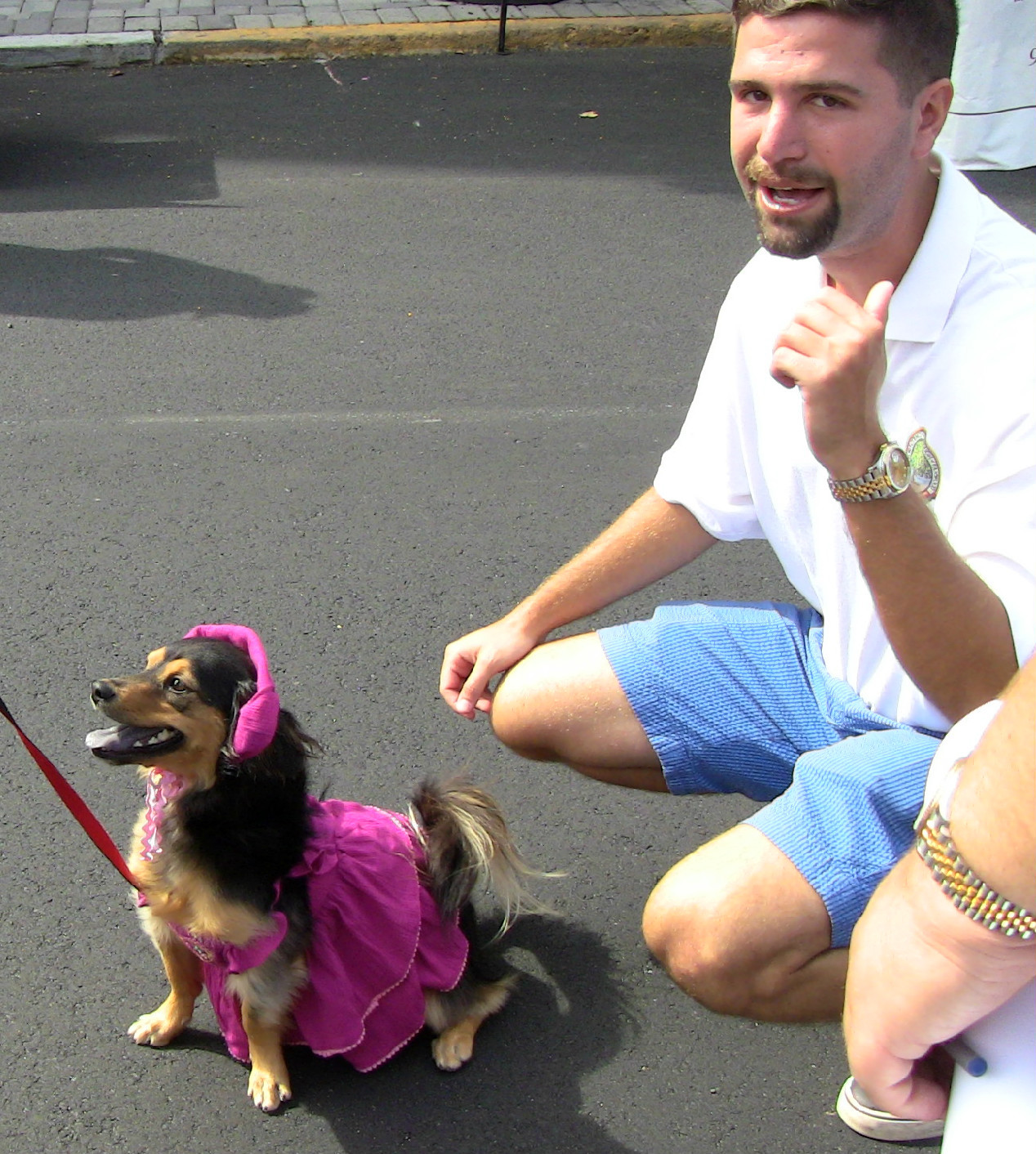 28a80e8ace82c3f66e77_Top_Dog.jpg