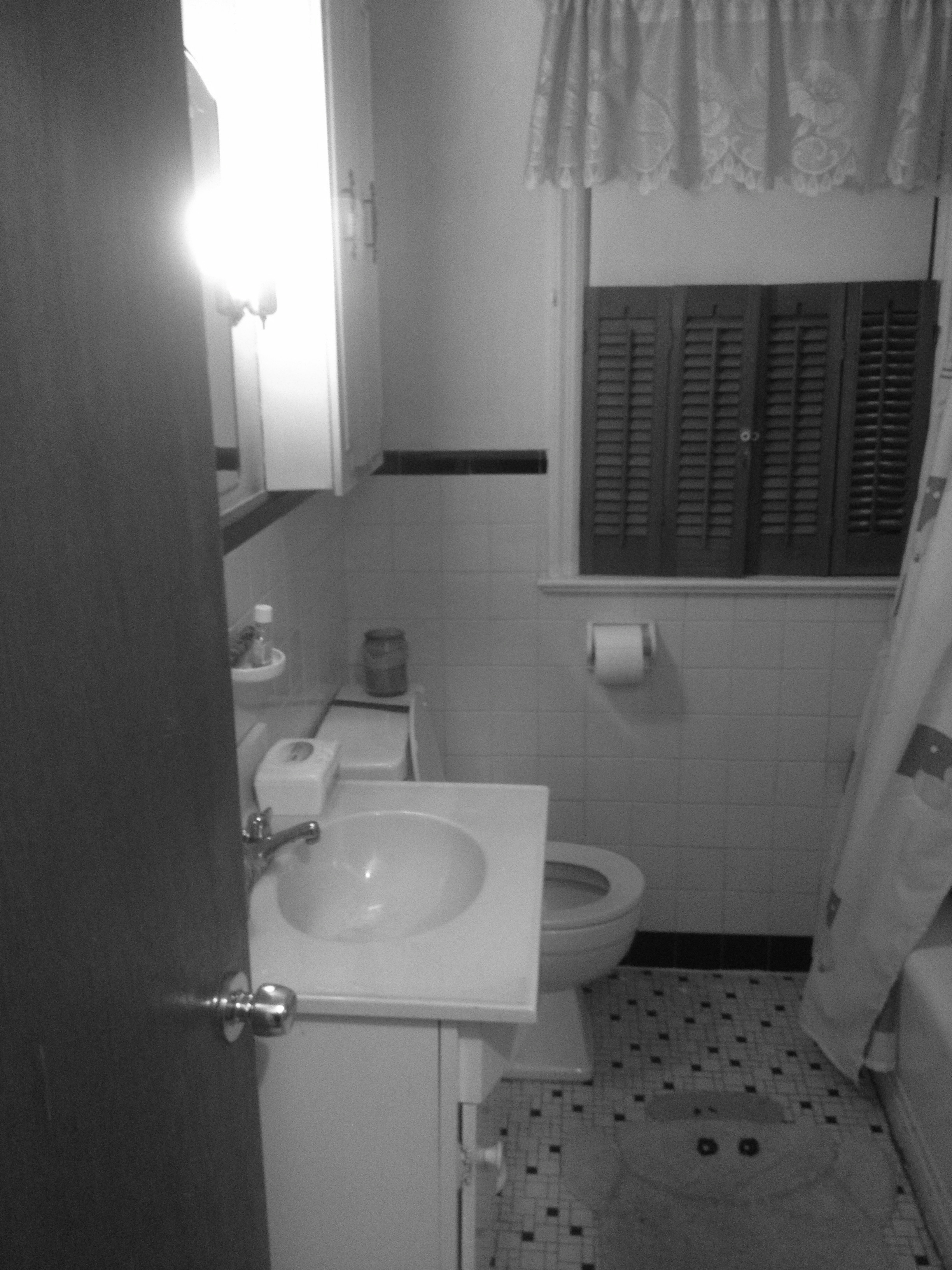 fa57dd9b56100cbf79c9_bathroom_now.jpg