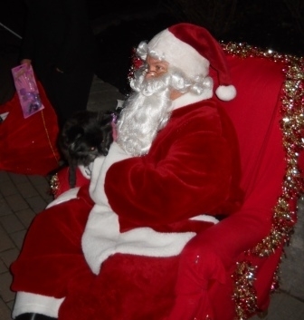 ef1f9e18e19c8d31e433_web_4th_Ward_tree_light_12-15-2015_013.jpg