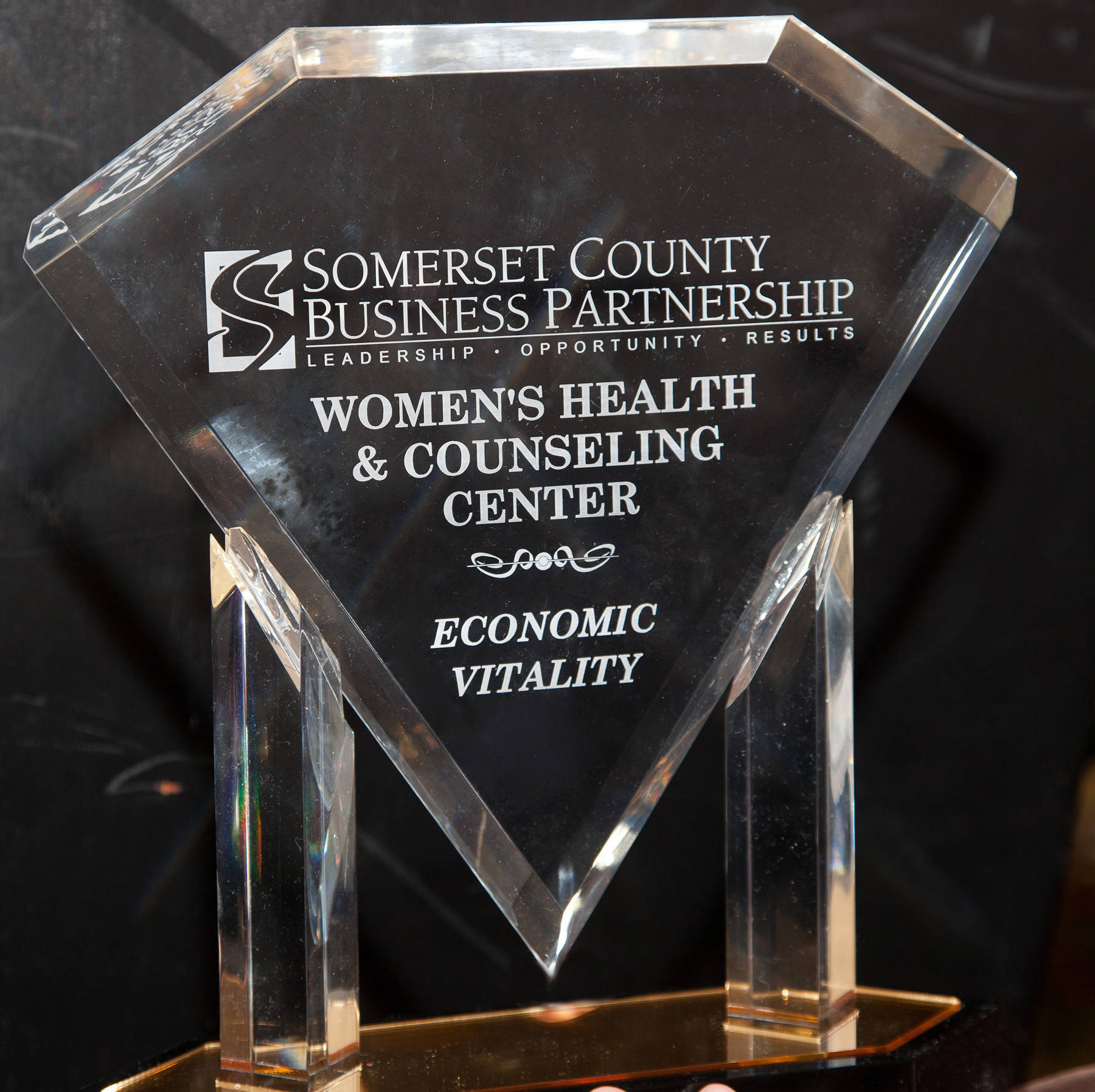 f7cbf3e0c8fd8abaa18b_sompixscbpeconvitalityaward.jpg