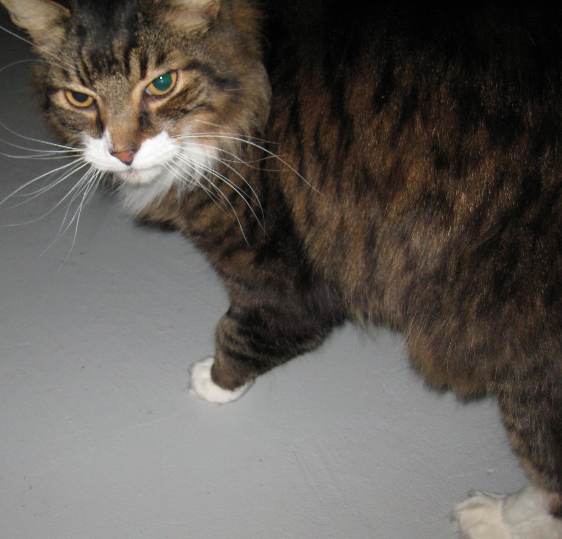 2d3cedf4852662b896c6_maggie.jpg