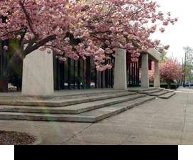 7a8f02f3e12e733a39a3_plainfield_library.jpg