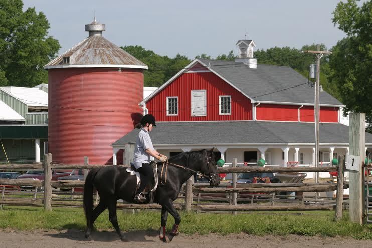 b827c218bd0d70b1d705_LordStirlingridinglesson.jpg