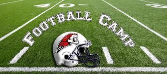 1b5ec468efc2ac0d731b_tigers_camp.jpg