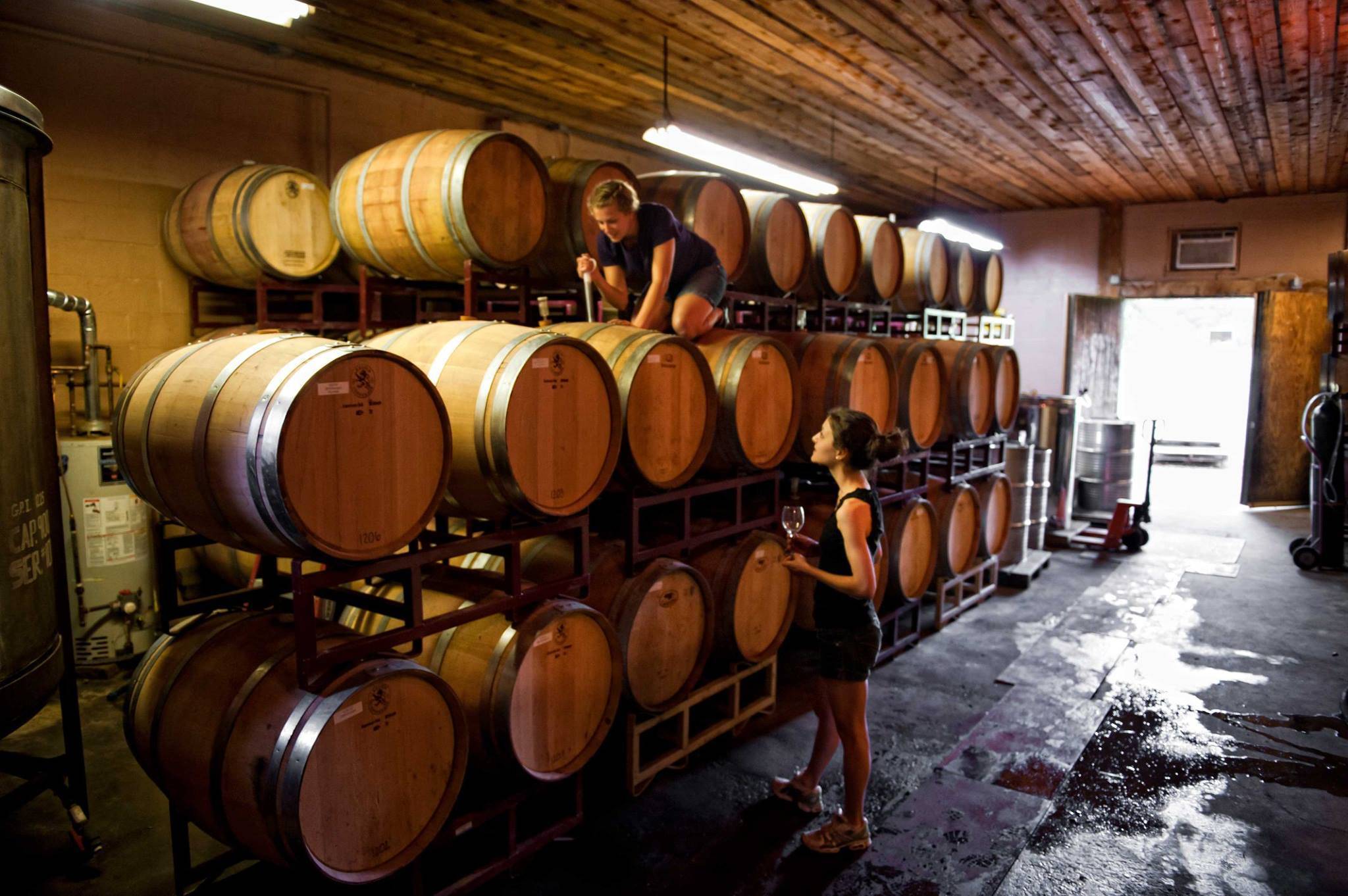83209deb2c00bf33551f_ef70073d11927839e9cc_Amalthea_Cellars.jpg