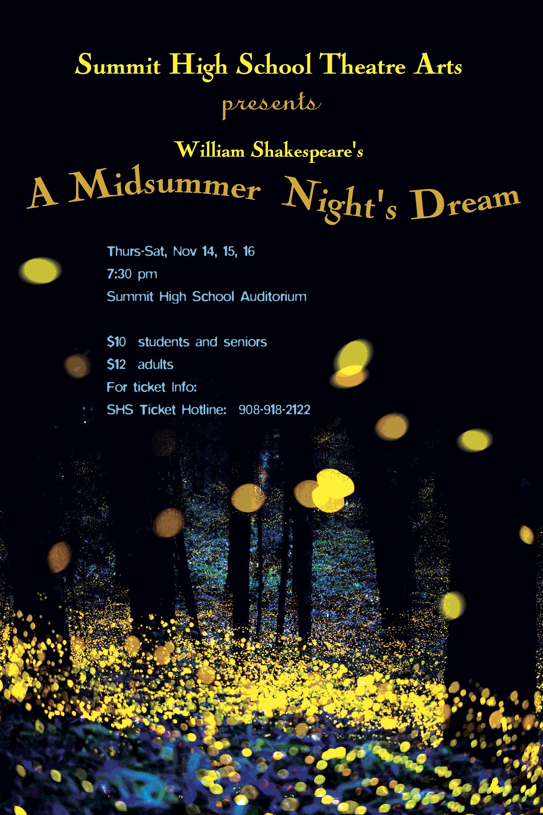 057cb2b46dbf1e6bf22a_MSNDPoster_graphic_1.jpg