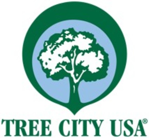 f960258964514aae4456_tree_city_USA.jpg