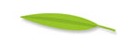 01107c9d719875c005b3_leaf_logo.png