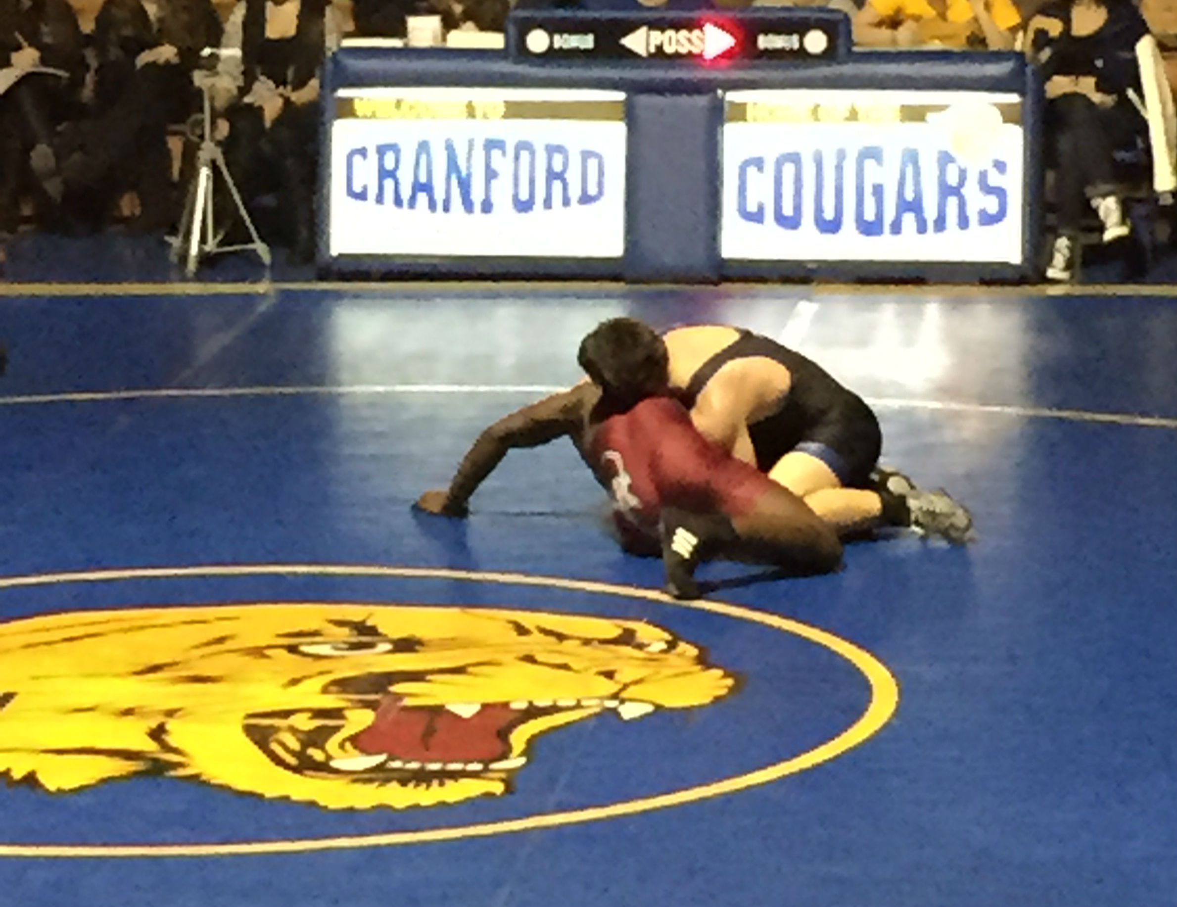 e61aab8cbfe5ebdd43ad_wrestling.jpg