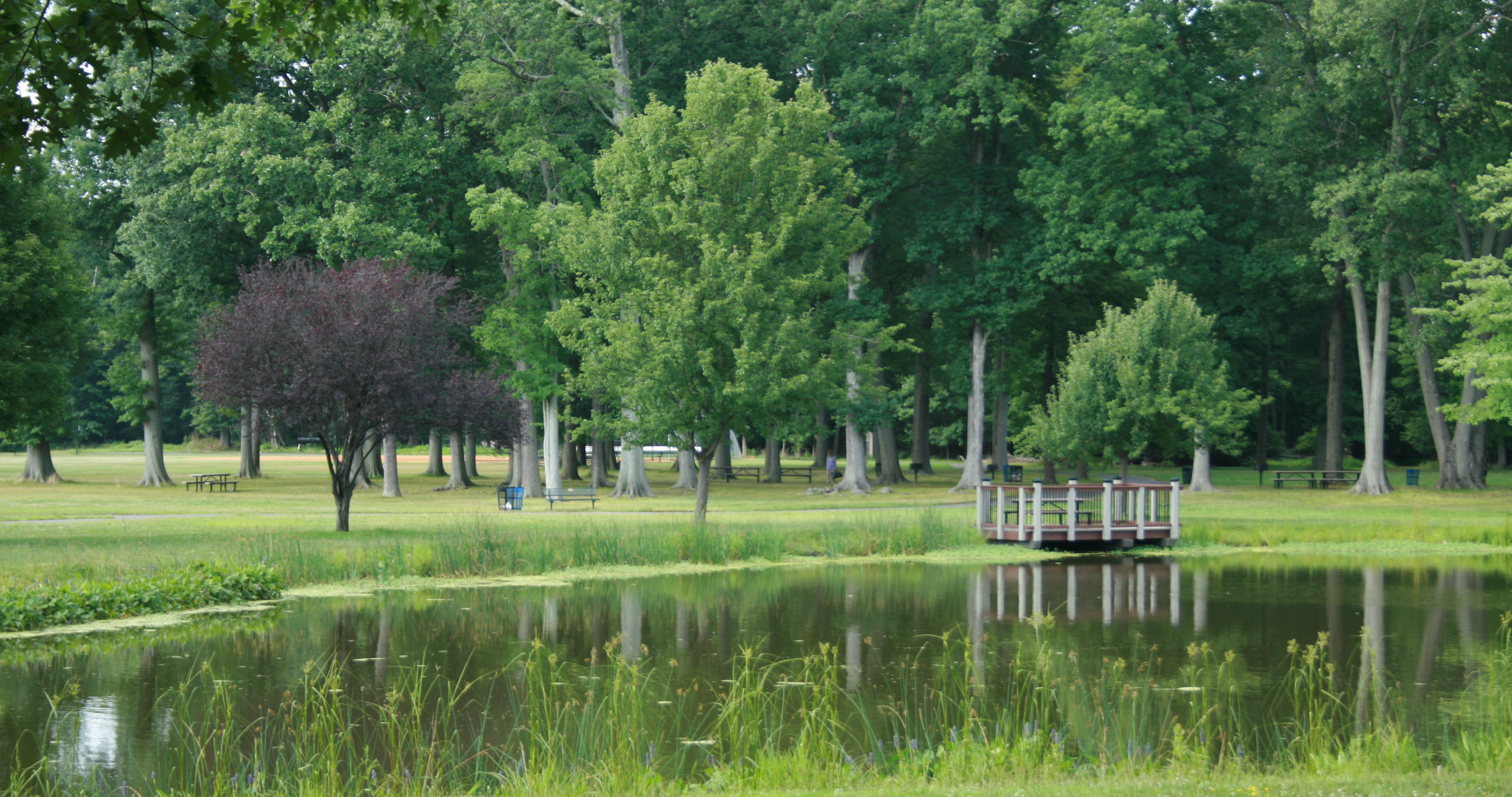 1f2bd5c5dd3bf8bb35c0_7de5af84c83cf6073907_summer_2.jpg