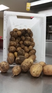7a3367da9cb0d035be72_potatoes.png