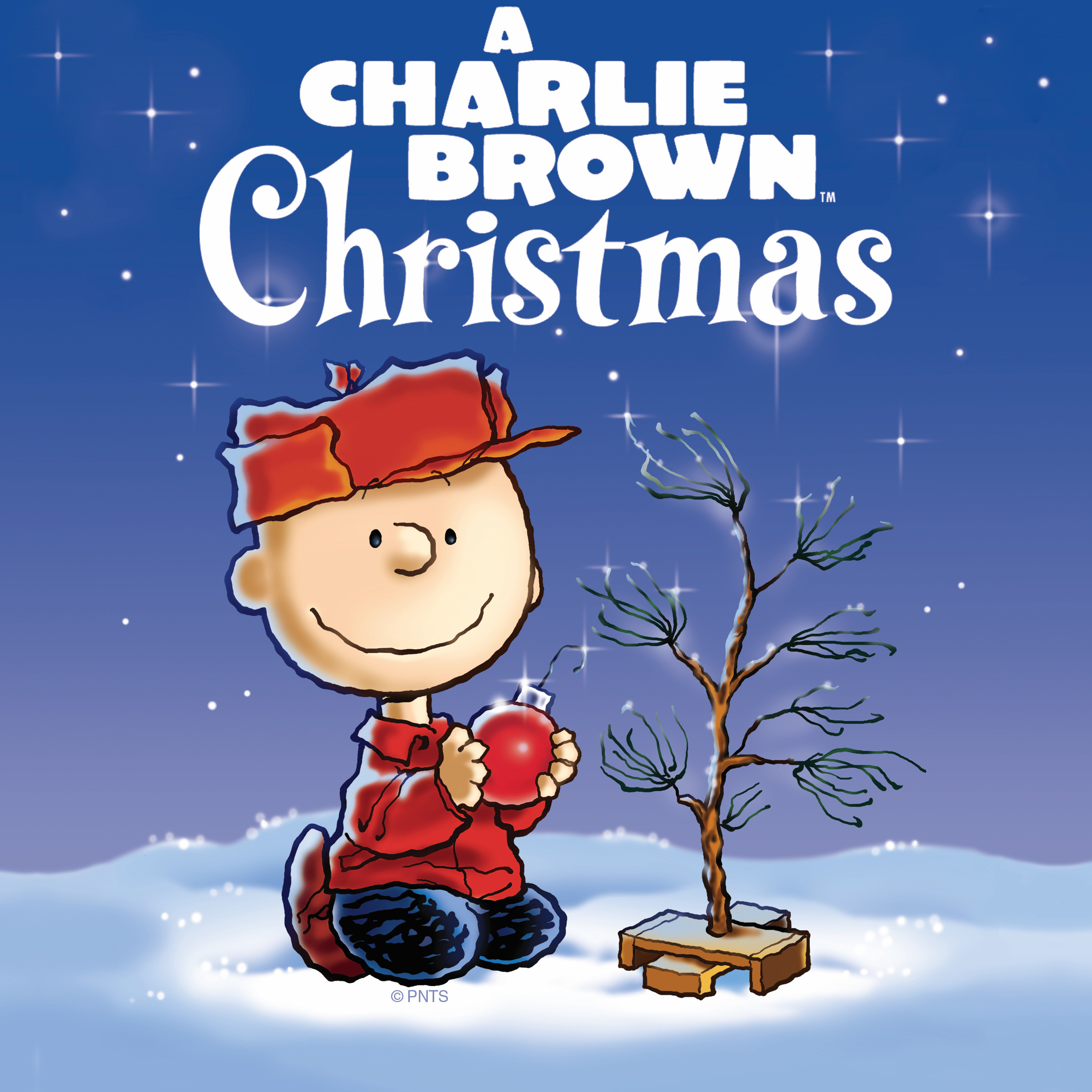 7eda583cd7847cb0bad8_CharlieBrownChristmas__1_.jpg