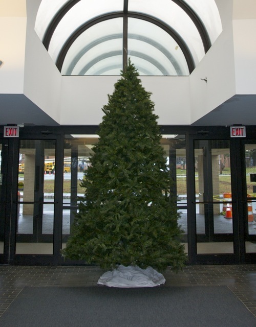 b86769155816f5367497_christmas_tree.jpg