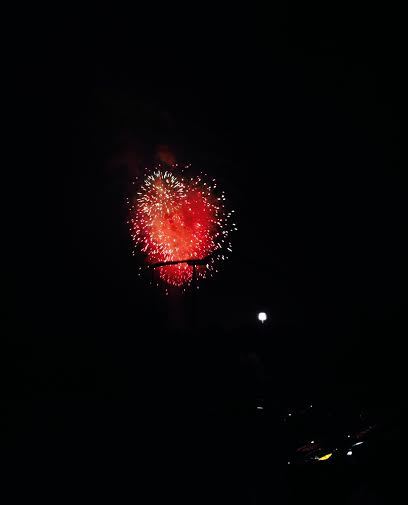 f823fa6e0d95b096291e_FireworksBuschG.jpg