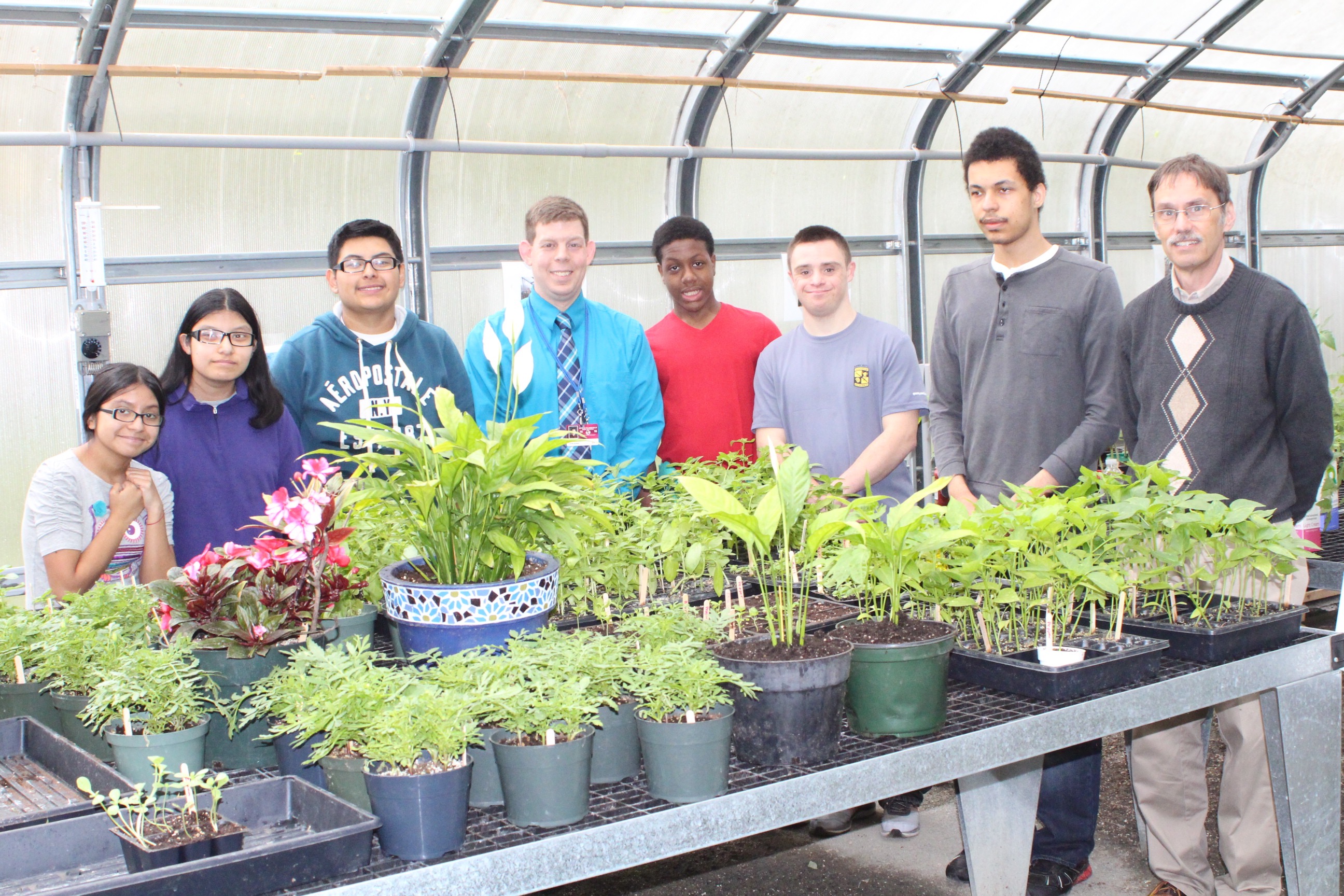 70c5e415fa6167aee193_NP_-_Greenhouse__1.jpg