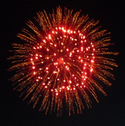 805747e475e9c2f77124_Fireworks-red_perfect_flower.jpg