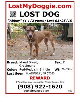 d8d28dd94fe8ff124ba0_lost_dog.jpg