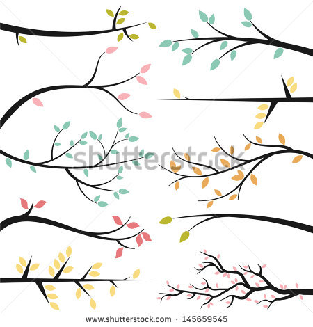 ad0e3009232f353f469e_branch_collection.jpg