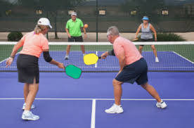 6d65a76ddf662e398f8e_pickleball.jpeg