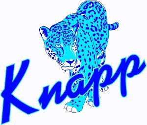 35e9f94dd28a63cd75d5_knapplogo.jpg