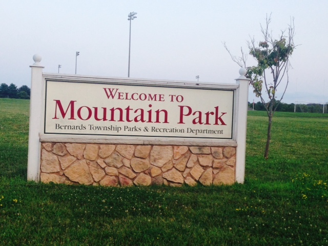 128629cb16f8bf74b41b_MountainPark.jpg