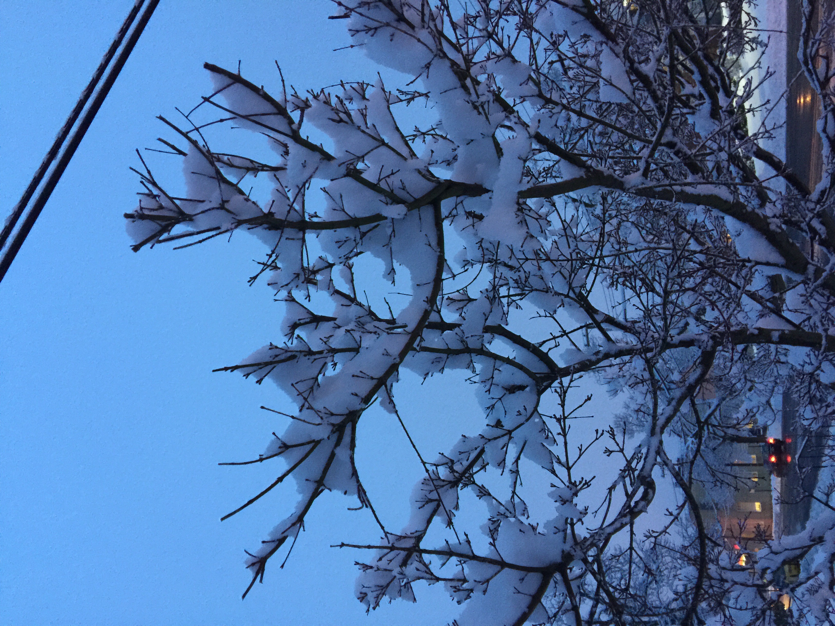 c0ca106d056b105819a9_image.jpg