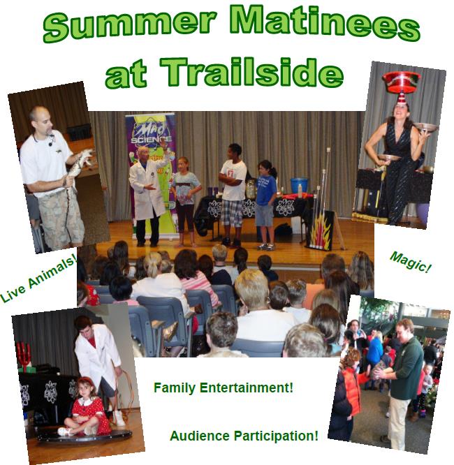914315a3a0323285b0e5_Summer_Matinees_2016.jpg
