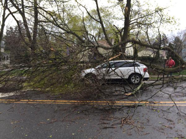 6a9c3353c5c0a20c4d85_car.tree.jpg