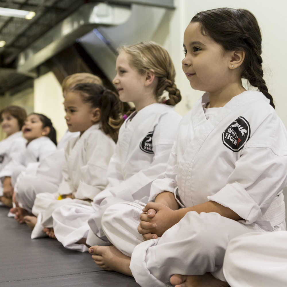 c267cb1018317dda6171_2014_10_19_WhiteTigerDojo-6606.jpg