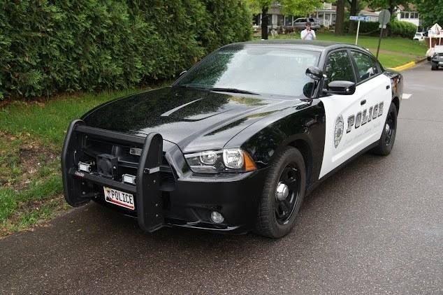 d84fbf765aee6a2513b7_best_dc28b45f1337cc4afff6_7e79602244d34e78689e_police_car_DVS1mn.jpg