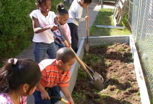 74d23fc72bd3a81e0393_6f4b4c05ad737e99dac6_Garden_grants_photo.jpg