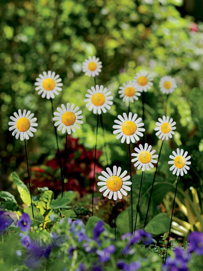 6df309829453ec401678_Daisy_Bouquet_8587098_.jpg