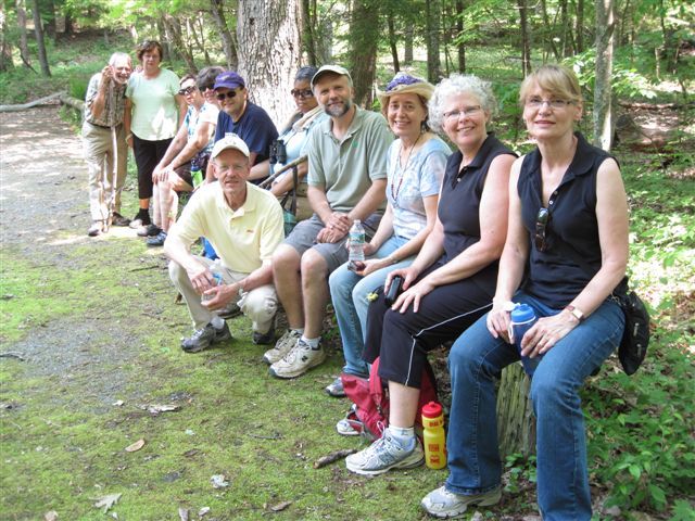 e542786a3e24ca622221_Master_Tree_Stewards.jpg