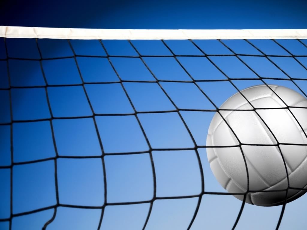 17baaf8df0a65fbf45b2_volleyball.jpg