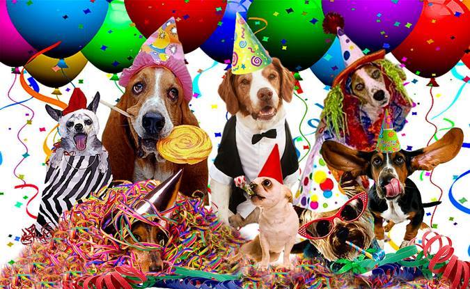 968948bdb8d010de3194_sunny_birthday_bash.jpg